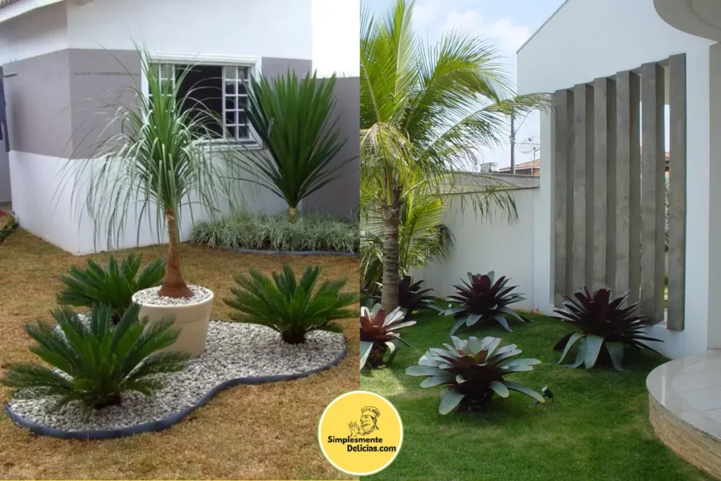 Jardinagem Residencial Dicas Simples para Transformar Seu Espaço Verde