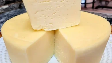 Queijo Caseiro Com Apenas 4 Ingredientes