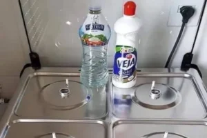 Dica Caseira: Como Limpar o Fogão e Deixá-lo Brilhando como Novo