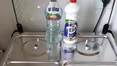 Dica Caseira: Como Limpar o Fogão e Deixá-lo Brilhando como Novo