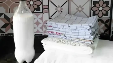 Branqueador de Pano de Prato: Dicas para Renovar o Brilho