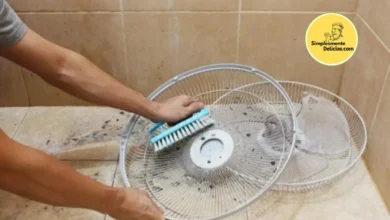 Renove Seu Ventilador Passo a Passo para Uma Limpeza Eficaz e Ar Mais Puro