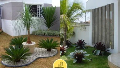 Jardinagem Residencial Dicas Simples para Transformar Seu Espaço Verde